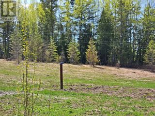 Photo 6: 2705 RED BLUFF ROAD in Quesnel: Vacant Land for sale : MLS®# R2847767