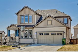 Photo 2: 357 VIEWPOINTE Terrace in Chestermere: House for sale : MLS®# A2042132