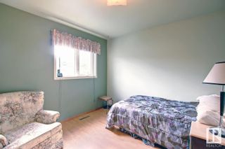 Photo 18: 12011 77 Street in Edmonton: Zone 05 House for sale : MLS®# E4388265