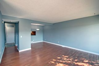 Photo 13: 30 131 Templehill Drive NE in Calgary: Temple Row/Townhouse for sale : MLS®# A1250410