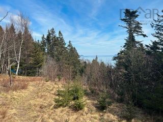 Photo 15: 7813 209 Highway in Brookville: 102S-South of Hwy 104, Parrsboro Residential for sale (Northern Region)  : MLS®# 202307048