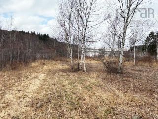 Photo 10: 4539 Shulie Road in Shulie: 102S-South of Hwy 104, Parrsboro Residential for sale (Northern Region)  : MLS®# 202405249