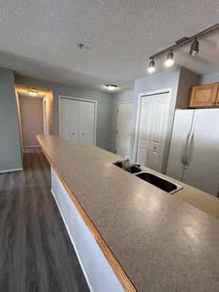Photo 11: 118 92 Saddletree Court NE in Calgary: Saddle Ridge Apartment for sale : MLS®# A2121337