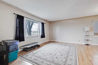 Photo 18: 5016 22 Street SW in Calgary: Altadore Detached for sale : MLS®# A2128461