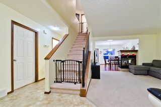 Photo 19: 488 SHANNON SQ SW in Calgary: Shawnessy House for sale : MLS®# C4279332