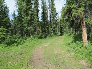Photo 40: 70041 Highway 591: Rural Clearwater County Detached for sale : MLS®# C4305359