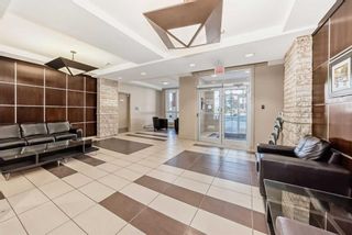 Photo 41: 1009 8880 Horton Road SW in Calgary: Haysboro Apartment for sale : MLS®# A2132832