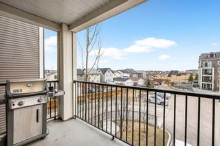 Photo 21: 4312 99 Copperstone Park SE in Calgary: Copperfield Apartment for sale : MLS®# A2121688