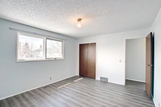 Photo 18: 4531 43 Street NE in Calgary: Whitehorn Detached for sale : MLS®# A1209196