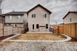 Photo 28: 138 Cranberry Place SE in Calgary: Cranston Detached for sale : MLS®# A1210882