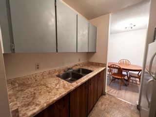 Photo 4: 207 212 SPIEKER Avenue in Cadreb Other: Out of Town Condo for sale : MLS®# R2774866