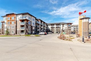 Photo 2: 4216 240 Skyview Ranch Road NE in Calgary: Skyview Ranch Apartment for sale : MLS®# A1216410