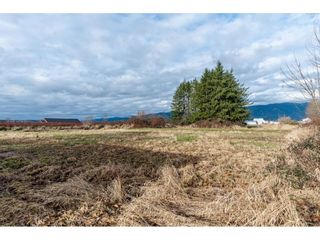 Photo 32: 18783 OLD DEWDNEY TRUNK RD Road in Pitt Meadows: North Meadows PI House for sale : MLS®# R2643578
