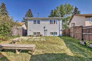 Photo 2: 187 Erin Woods Drive SE in Calgary: Erin Woods Detached for sale : MLS®# A2077059