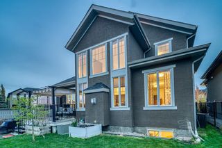 Photo 44: 278 CRANLEIGH Place SE in Calgary: Cranston Detached for sale : MLS®# C4295663