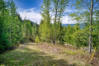 Photo 23: 5070 Ridge Road, in Eagle Bay: Vacant Land for sale : MLS®# 10268955