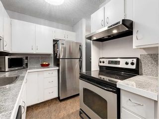 Photo 4: 302 2611 15A Street SW in Calgary: Bankview Apartment for sale : MLS®# A2115055