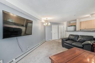 Photo 14: 3209 10 Prestwick Bay SE in Calgary: McKenzie Towne Apartment for sale : MLS®# A2032568