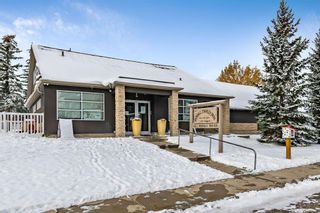 Photo 47: 206 43 Avenue SW in Calgary: Parkhill Full Duplex for sale : MLS®# A2091142