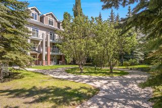 Photo 32: 314 1808 36 Avenue SW in Calgary: Altadore Apartment for sale : MLS®# A2138254