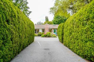 Main Photo: 21636 44A Avenue in Langley: Murrayville House for sale : MLS®# R2701434