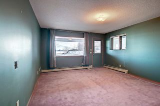 Photo 35: 1000 WEST CHESTERMERE Drive: Chestermere Detached for sale : MLS®# A1181631