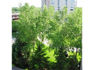 Photo 10: 160 Tuxedo Avenue in WINNIPEG: River Heights / Tuxedo / Linden Woods Condominium for sale (South Winnipeg)  : MLS®# 1003509