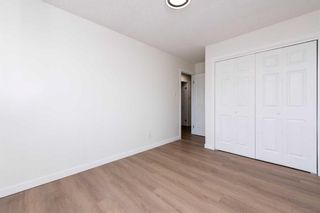 Photo 18: 107 Dovertree Place SE in Calgary: Dover Semi Detached (Half Duplex) for sale : MLS®# A2131844