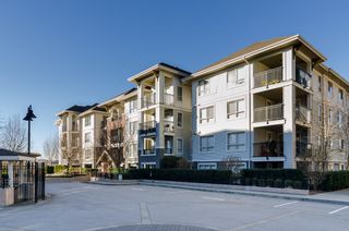 Photo 1: D401 8929 202ND Street in Langley: Walnut Grove Condo for sale in "THE GROVE" : MLS®# F1428782
