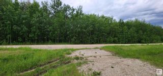 Photo 4: 53424 RGE RD 60: Rural Parkland County Rural Land/Vacant Lot for sale : MLS®# E4301067