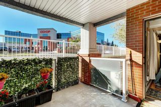 Photo 12: 127 8535 Bonaventure Drive SE in Calgary: Acadia Apartment for sale : MLS®# A2019562