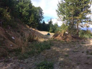 Photo 14: LOT 4 CREEKS Road in Gibsons: Gibsons & Area Land for sale (Sunshine Coast)  : MLS®# R2202783