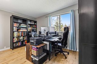 Photo 16: 456 Cedarille Crescent SW in Calgary: Cedarbrae Detached for sale : MLS®# A2129874