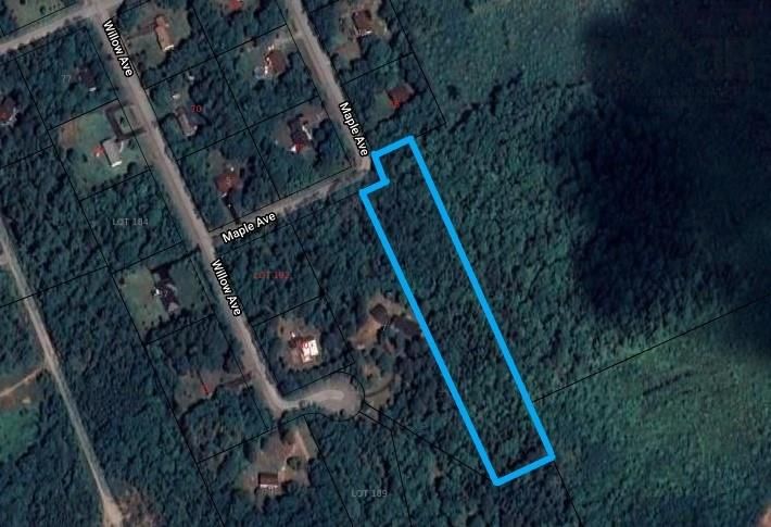 Main Photo: Lot Maple Avenue in Meadowvale: Annapolis County Vacant Land for sale (Annapolis Valley)  : MLS®# 202214075