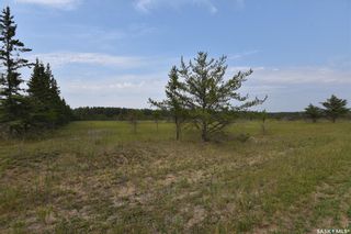 Photo 4: Lot 1 Cummingham Drive in Torch River: Lot/Land for sale (Torch River Rm No. 488)  : MLS®# SK938788