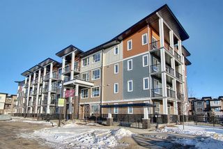 Photo 1: 106 25 Walgrove Walk SE in Calgary: Walden Apartment for sale : MLS®# A1250186