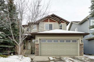 Photo 29: 91 Chapala Way SE in Calgary: Chaparral Detached for sale : MLS®# A2119856