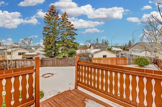 Photo 8: 28 Falmead Place NE in Calgary: Falconridge Semi Detached (Half Duplex) for sale : MLS®# A2011357