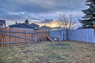 Photo 33: 75 Martinwood Way NE in Calgary: Martindale Detached for sale : MLS®# A2098015