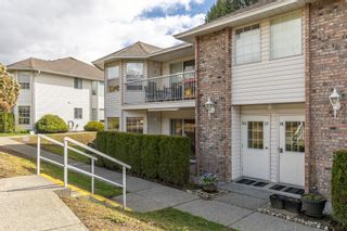 Photo 2: 35 2938 TRAFALGAR Street in Abbotsford: Central Abbotsford Townhouse for sale : MLS®# R2867307