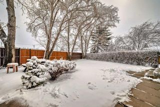 Photo 30: 436 Dalmeny Hill NW in Calgary: Dalhousie Detached for sale : MLS®# A2121438