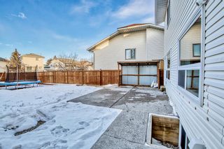 Photo 40: 52 Applewood Court SE in Calgary: Applewood Park Detached for sale : MLS®# A2018208