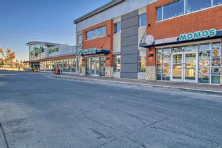 Photo 42: 1217 8880 Horton Road SW in Calgary: Haysboro Apartment for sale : MLS®# A2081789