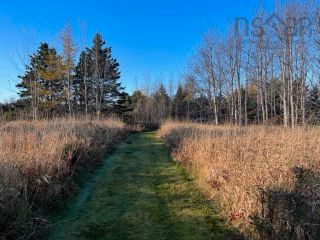 Photo 7: Lots 3 & 4 Brooks Road in Ashmore: Digby County Vacant Land for sale (Annapolis Valley)  : MLS®# 202225766