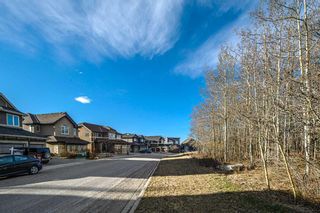 Photo 46: 7 Springbluff Point SW in Calgary: Springbank Hill Detached for sale : MLS®# A2123396