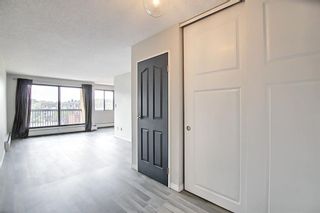 Photo 7: 506 523 15 Avenue SW in Calgary: Beltline Apartment for sale : MLS®# A2020533