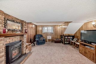 Photo 24: 3816 Dover Ridge Drive SE in Calgary: Dover Detached for sale : MLS®# A2124560
