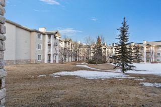 Photo 28: 2118 2600 66 Street NE in Calgary: Pineridge Apartment for sale : MLS®# A2125370