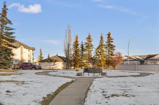Photo 19: 407 33 Arbour Grove Close NW in Calgary: Arbour Lake Apartment for sale : MLS®# A2013235