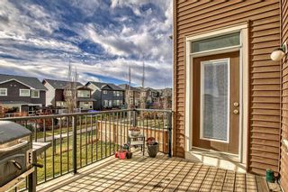 Photo 46: 429 Nolan Hill Boulevard NW in Calgary: Nolan Hill Detached for sale : MLS®# A2093146